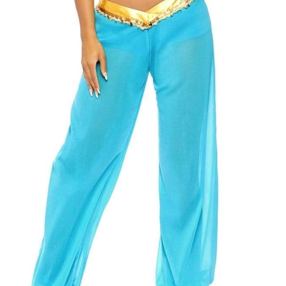 NWOT Arabian Pants  For Halloween Costume Size Large